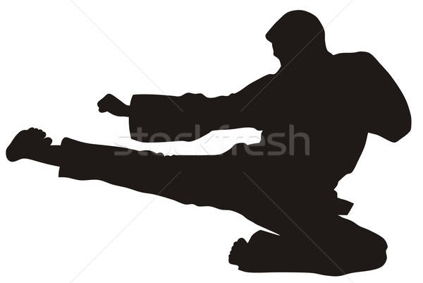 600x401 Martial Art Vector Illustration Dimitar Matinov