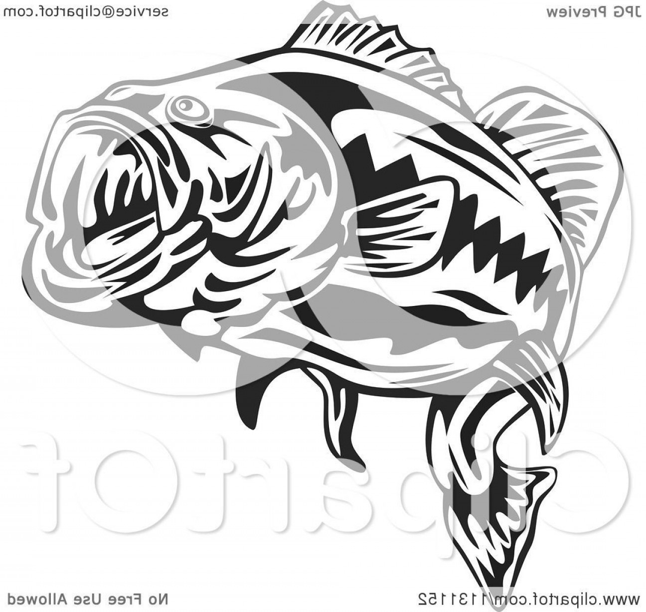 1296x1228 Maryland State Fish Coloring