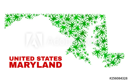 500x315 Vector Marijuana Maryland State Map Mosaic Concept With Green