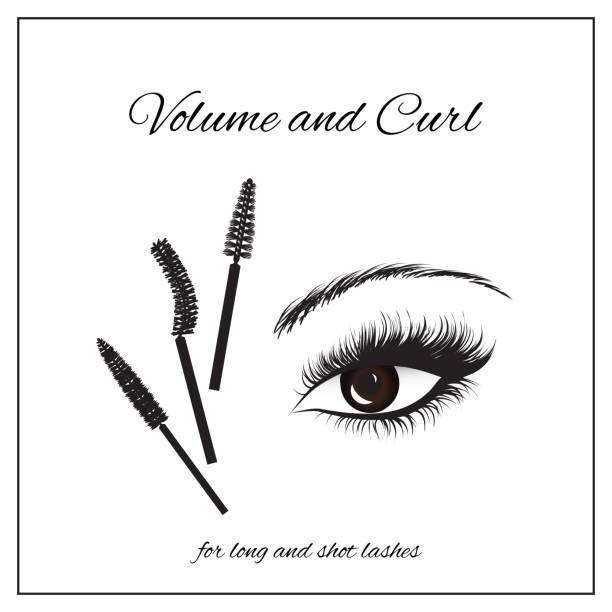 612x612 Types Of Mascara Brushes And Makeup Classification Lash