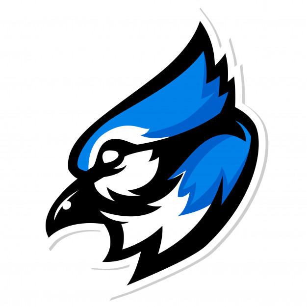 626x626 Blue Jay Mascot Logo Vector Premium Download