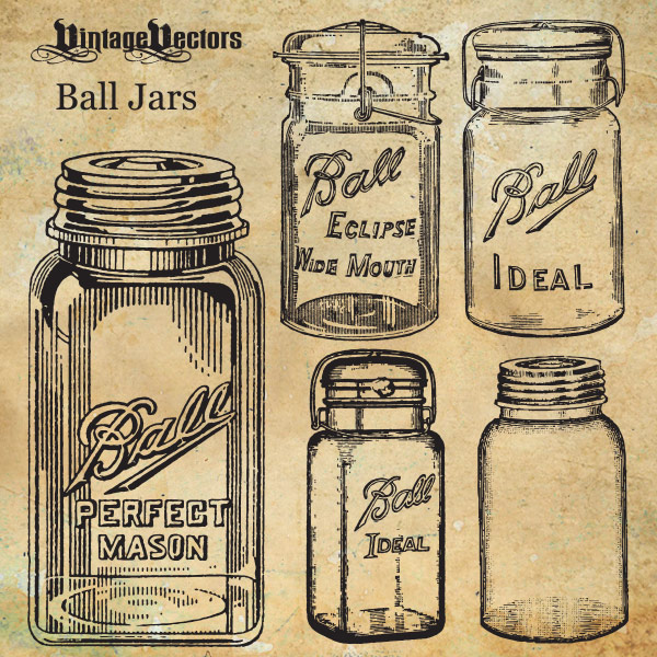 Mason Jars Vector Art Vintage Vectors 600x600 Mason Jars Vector Art Vintage Vectors