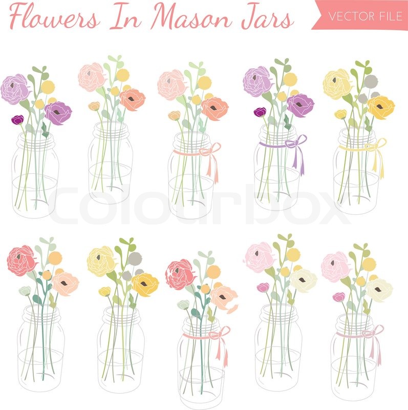 797x800 Vector Collection Of Ranunculus Stock Vector Colourbox