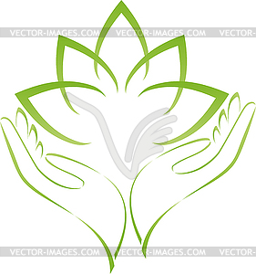 281x300 Hands And Leaves, Wellness, Massage, Logo