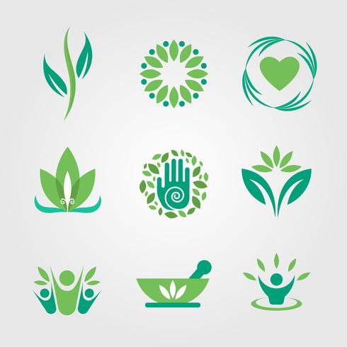 490x490 Green And Healing Logo Vector