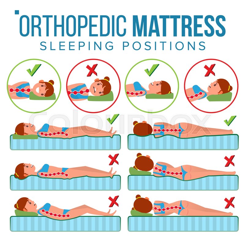 800x800 Orthopedic Mattress Vector Curvature Stock Vector Colourbox