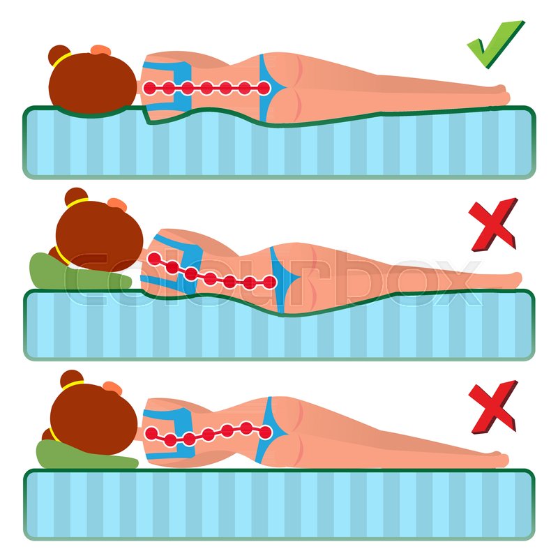 800x800 Orthopedic Mattress Vector Sleeping Stock Vector Colourbox