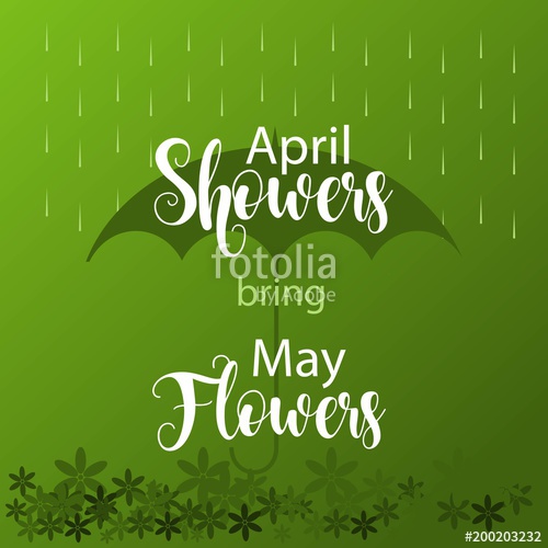 500x500 April Showers Bring May Flowers Vector Template Design