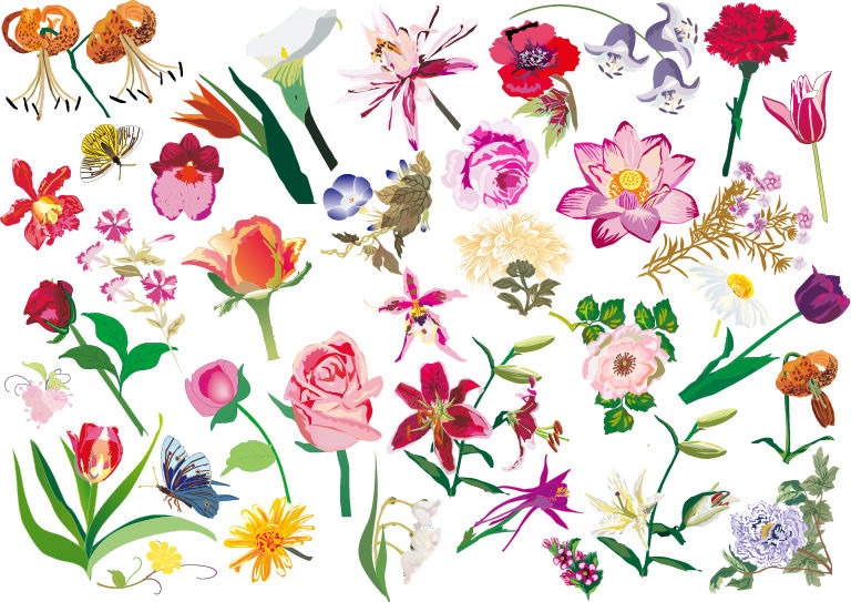 768x543 Various Flowers Vector Image Set Free Vector Graphics All Free