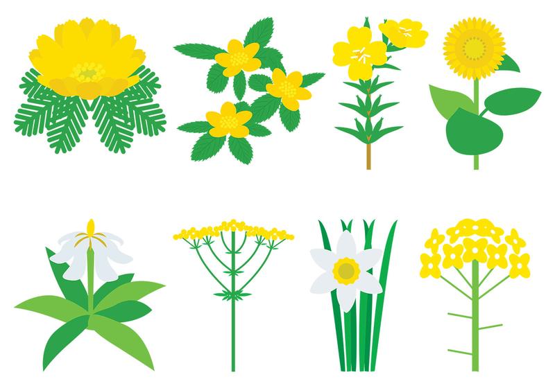 800x560 Yellow Flowers Vector Pack