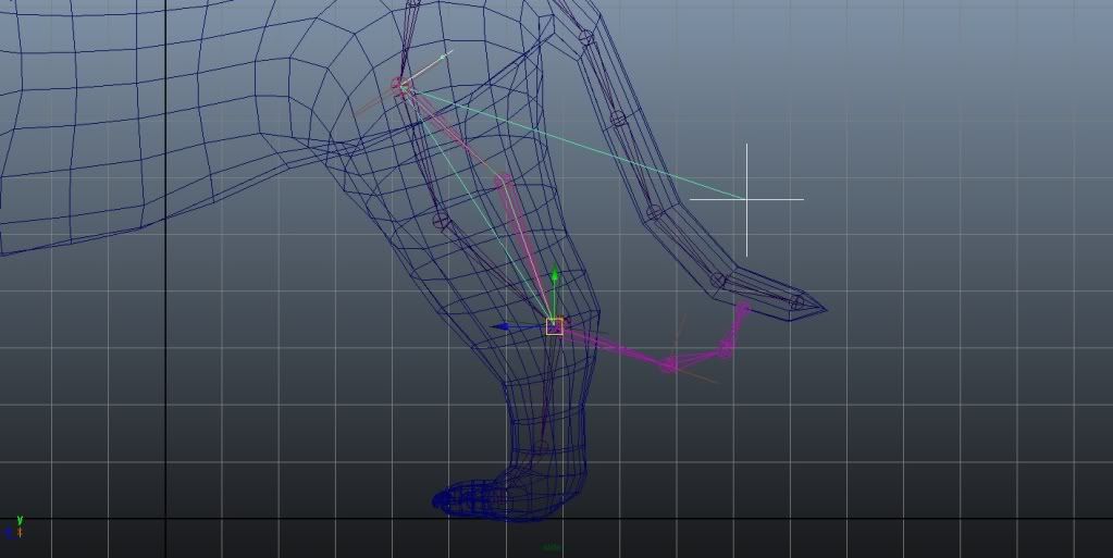 1023x513 Quad Hind Leg Rigging = Grr For Beginners