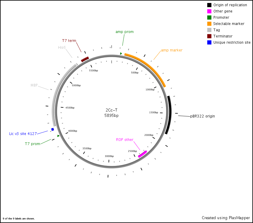 850x750 Addgene Pet Mbp Lic Cloning Vector