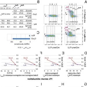300x300 Constructs Of Mbp Mubf Fusion Protein Expression Vectors