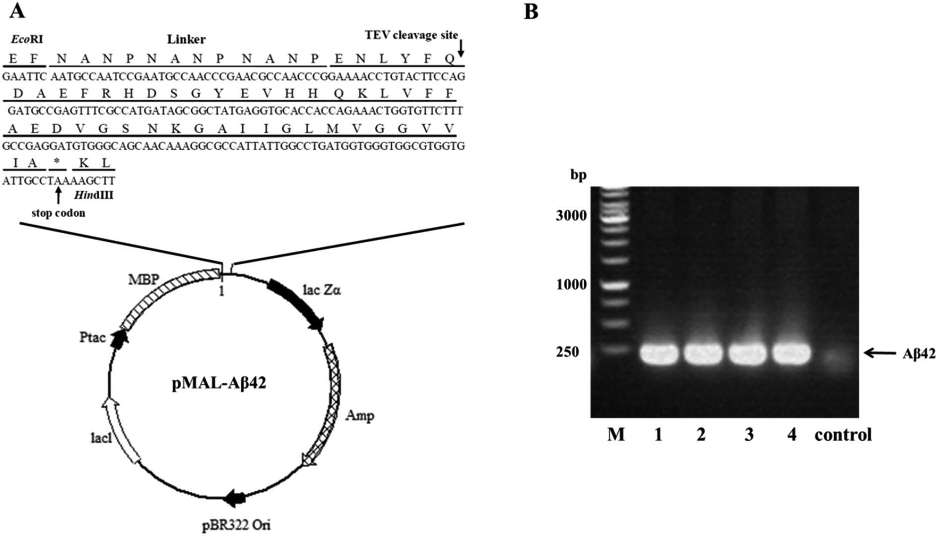 1890x1081 Highly Efficient Soluble Expression, Purification