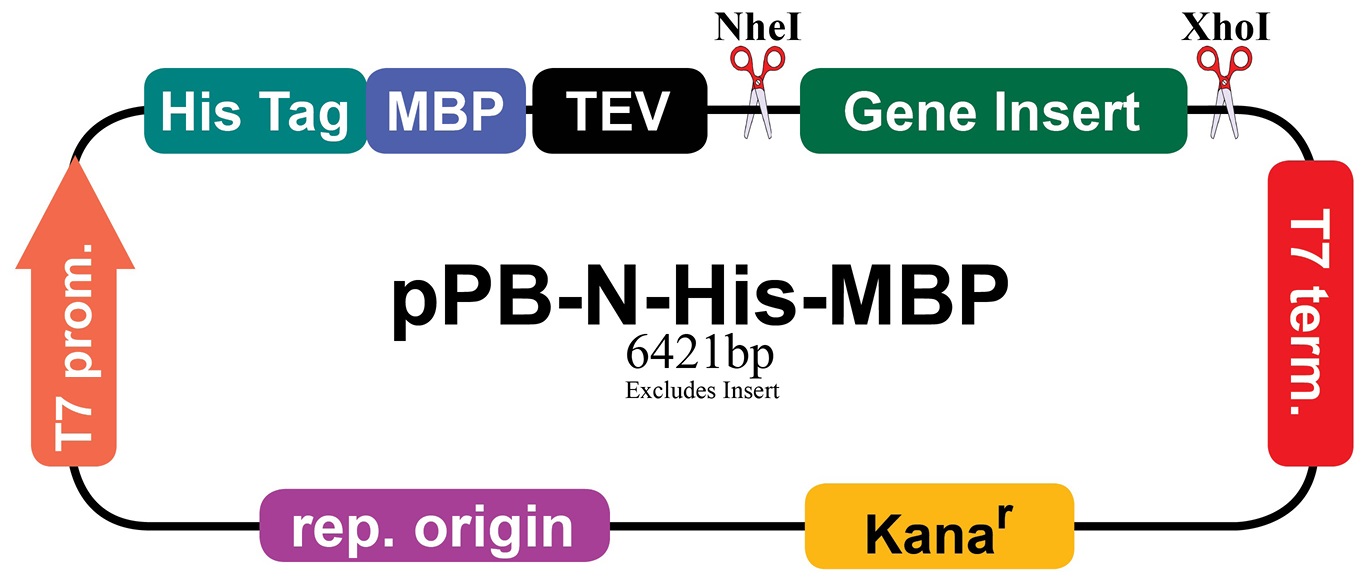 1368x580 Ppb His Mbp Vector Map Abm Inc