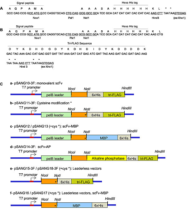 600x668 A Simple Vector System To Improve Performance And Utilisation