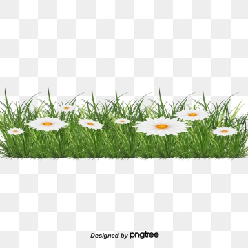 360x360 Meadow Vector Png, Vector, And Clipart With Transparent