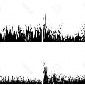 300x300 Photoset Of Different Meadow Vector Grass Silhouettes Newwaysys