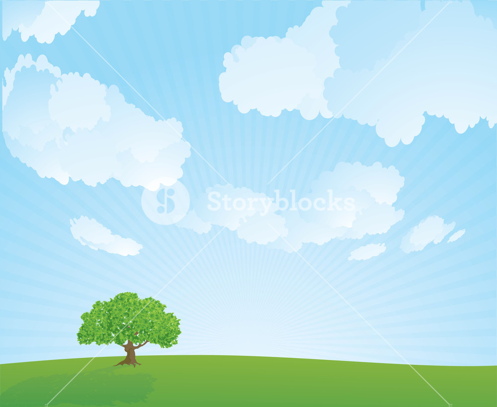1000x819 Summer Meadow Vector Background Royalty Free Stock Image