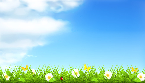 500x286 Vector Summer Meadow Flower Free Vector Download