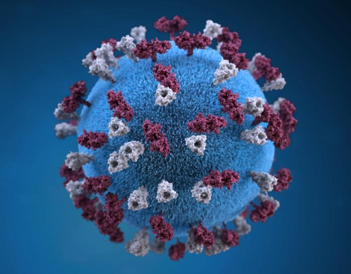 700x546 Merck Co Partners With Themis On Measles Virus Vector Based