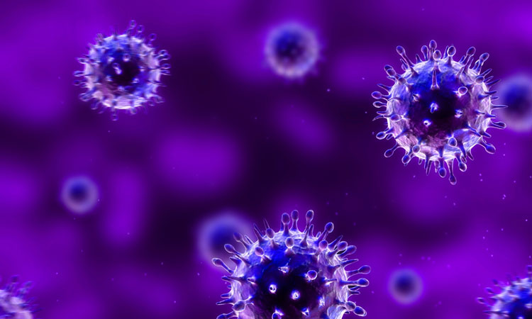 750x450 Reprogramming Stem Cells Using The Measles Virus Vector