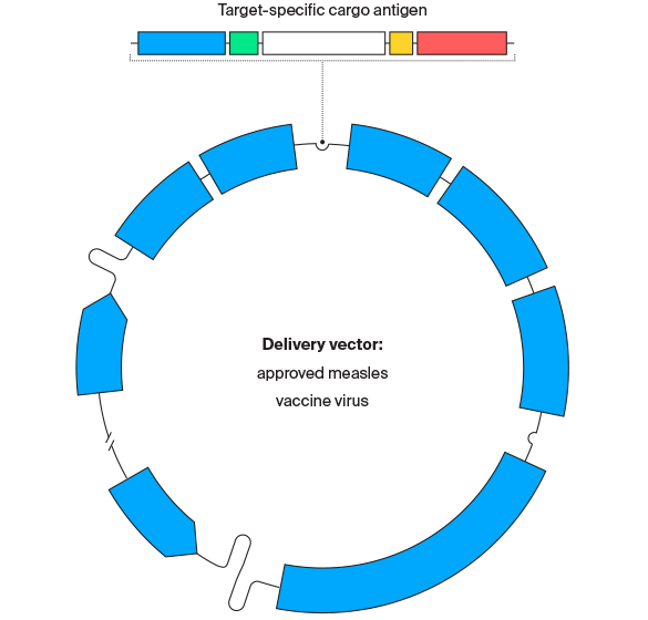 585x560 Max Planck Partners With Themis Bioscience To Develop Oncolytic