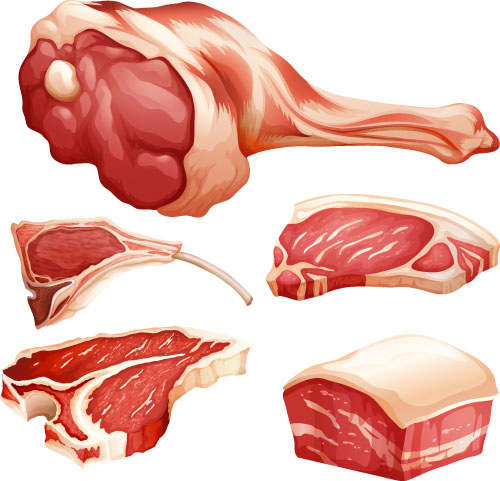 500x481 Fresh Meats Vector Material Free Download