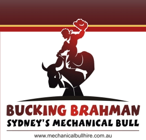 294x282 Mechanical Bull Logo
