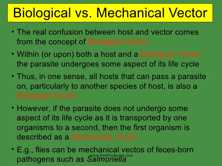 Introduction To Parasitology 728x546 Introduction To Parasitology