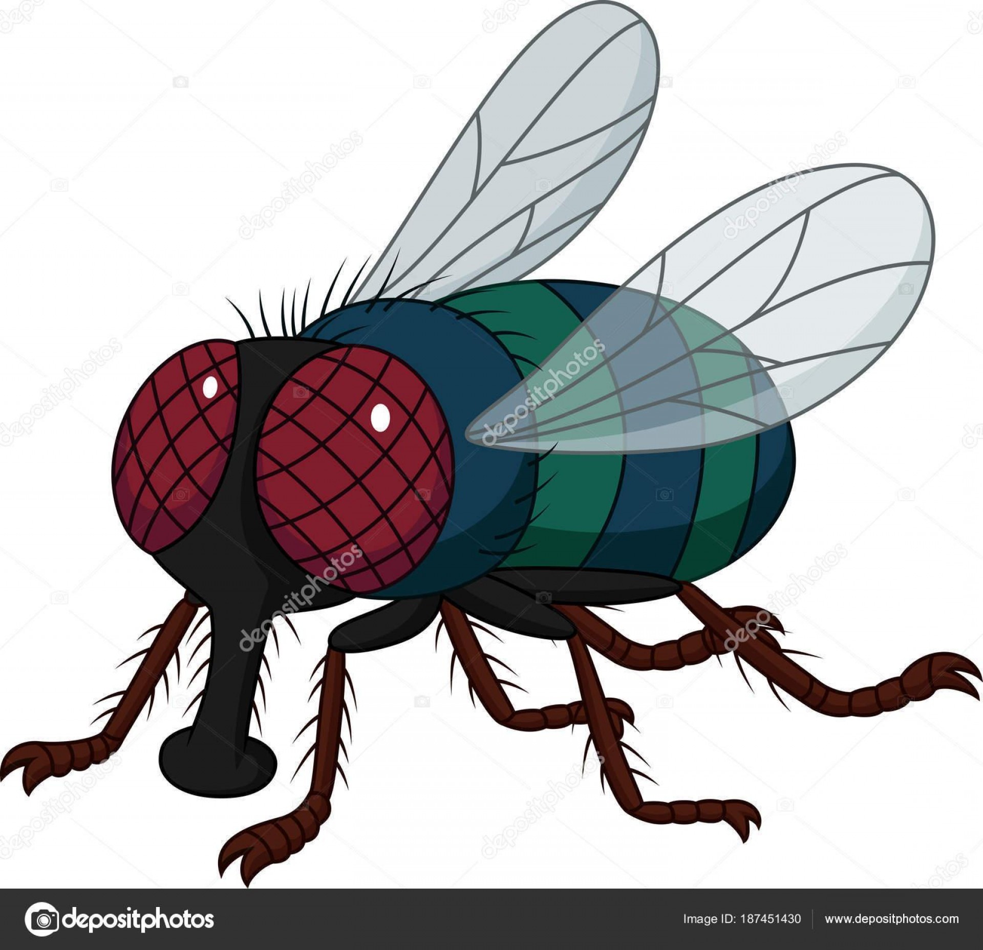 1920x1856 Best Flies As Vectors Free Cqrecords
