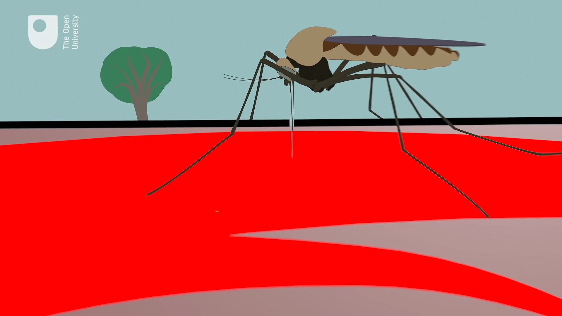 1920x1080 Zoonotic Disease Pathology