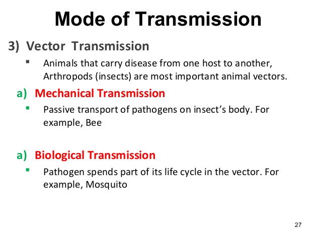 638x479 Chapter Microbe Human Interaction