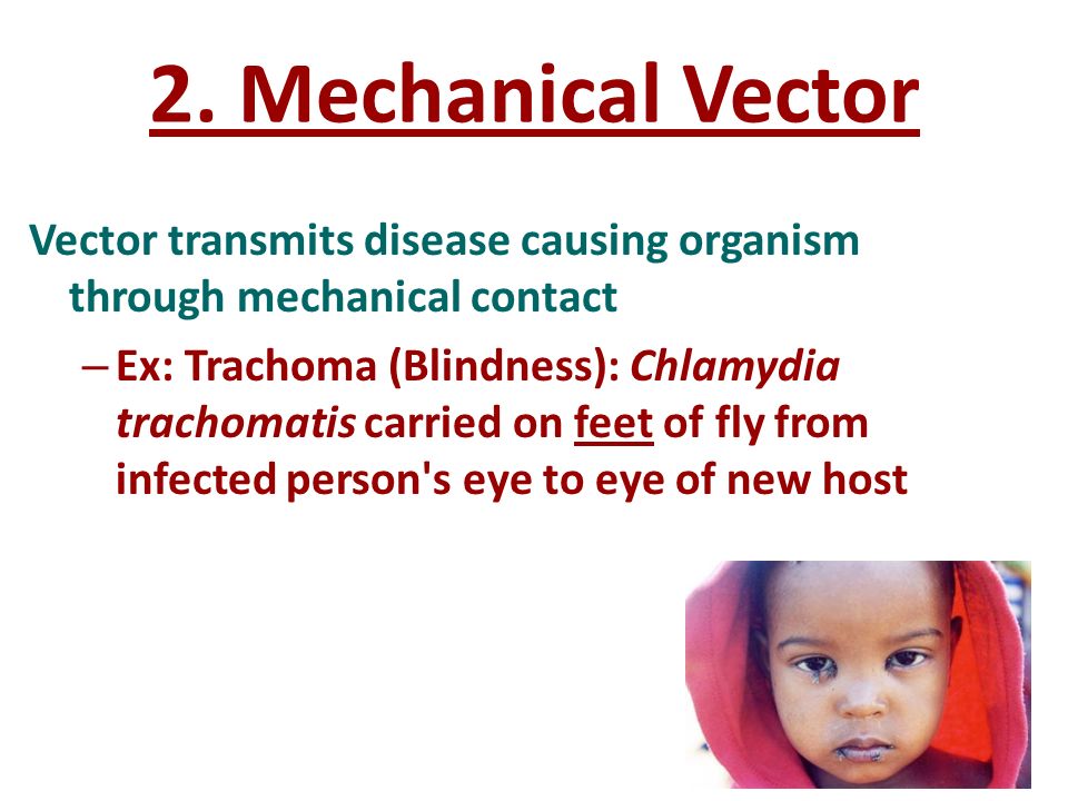 960x720 Disease, Disease Transmission, And Epidemiology