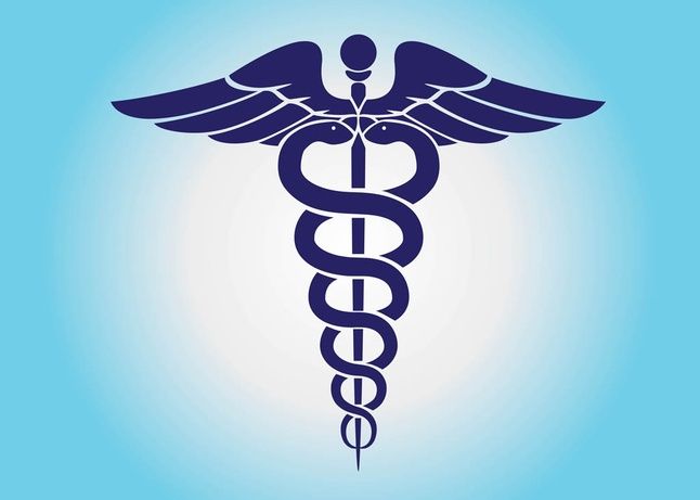 646x461 Medical Caduceus Vector Download
