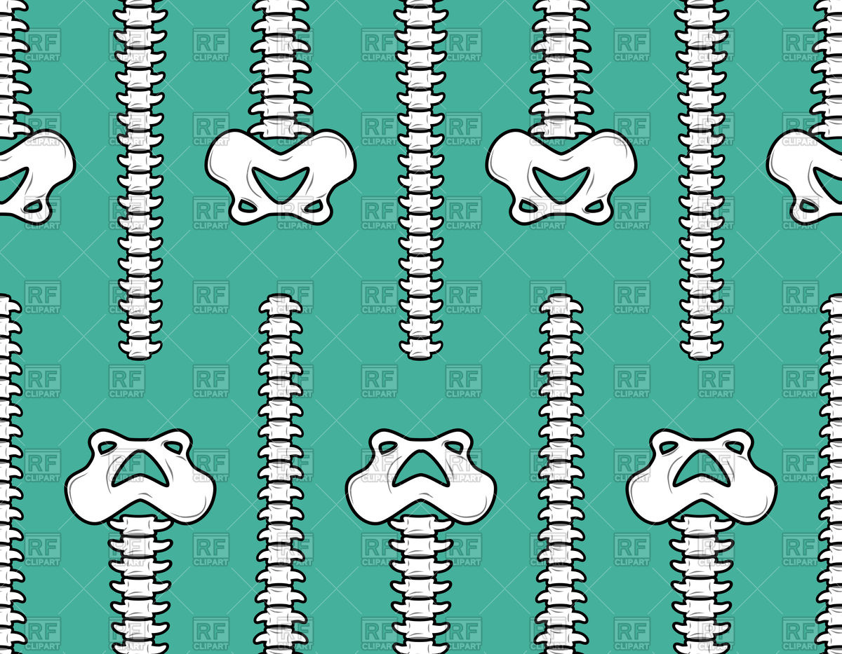 1200x933 Spine And Pelvis Seamless Pattern Vector Image Of Healthcare