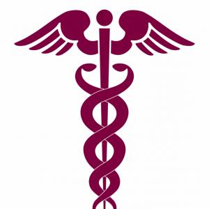 300x300 Jojtwtmedicine Caduceus Medical Snake Png Image Caduceus Vector
