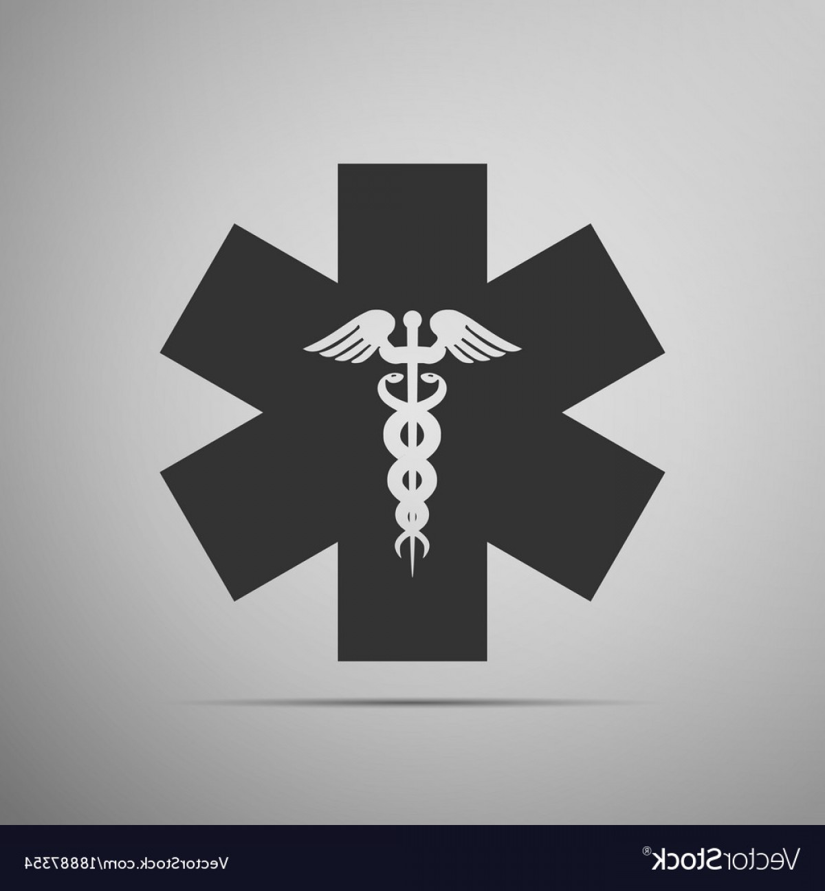 1200x1296 Emergency Star Medical Symbol Caduceus Snake Vector Soidergi