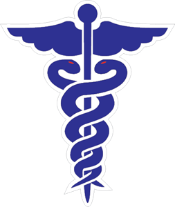 253x300 Doctor Logo Vectors Free Download