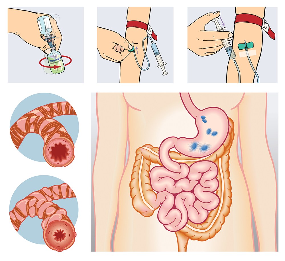 Medical Vector Art 1000x915 Medical Vector Art