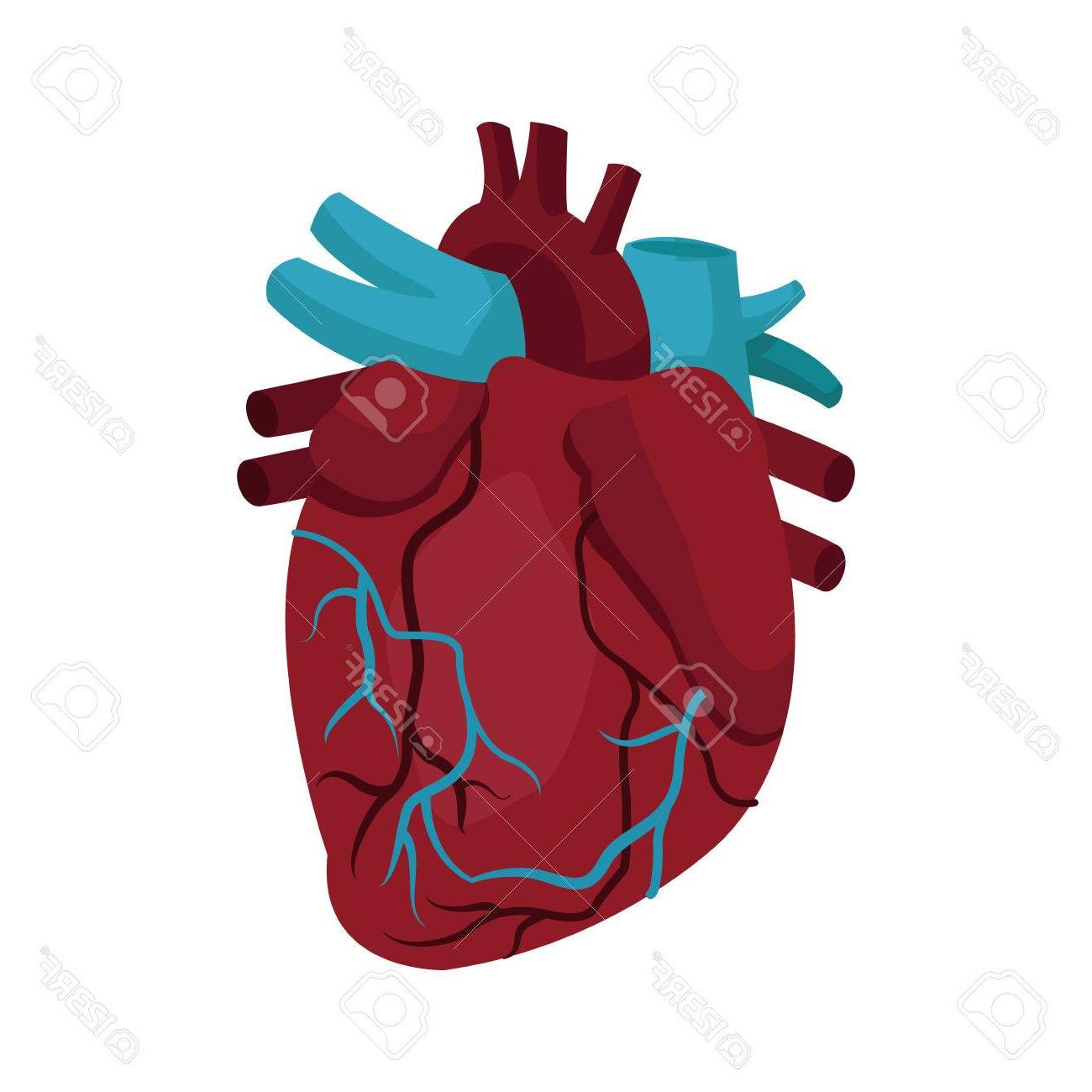 Best Medical Heart Vector Library Free Vector Art, Images 1300x1300 Best Medical Heart Vector Library Free Vector Art, Images