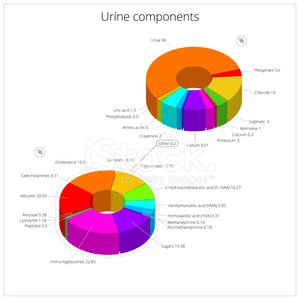300x300 Urine Components Medical Vector Illustration Premium Clipart