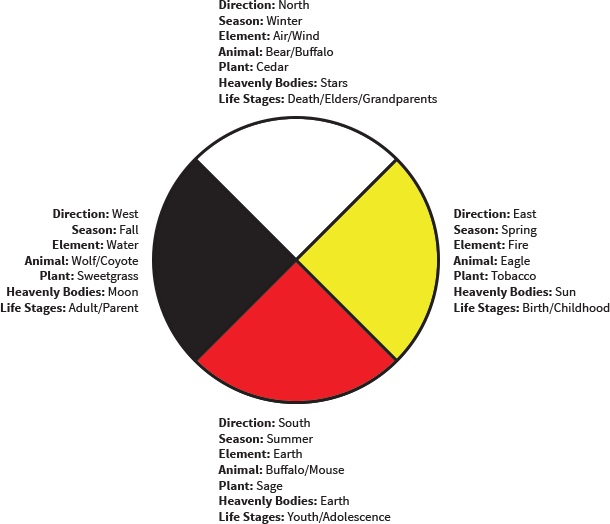 610x524 The Medicine Wheel