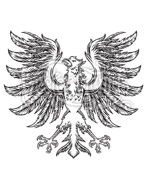 468x580 Detailed Medieval Eagle Wings Stock Art