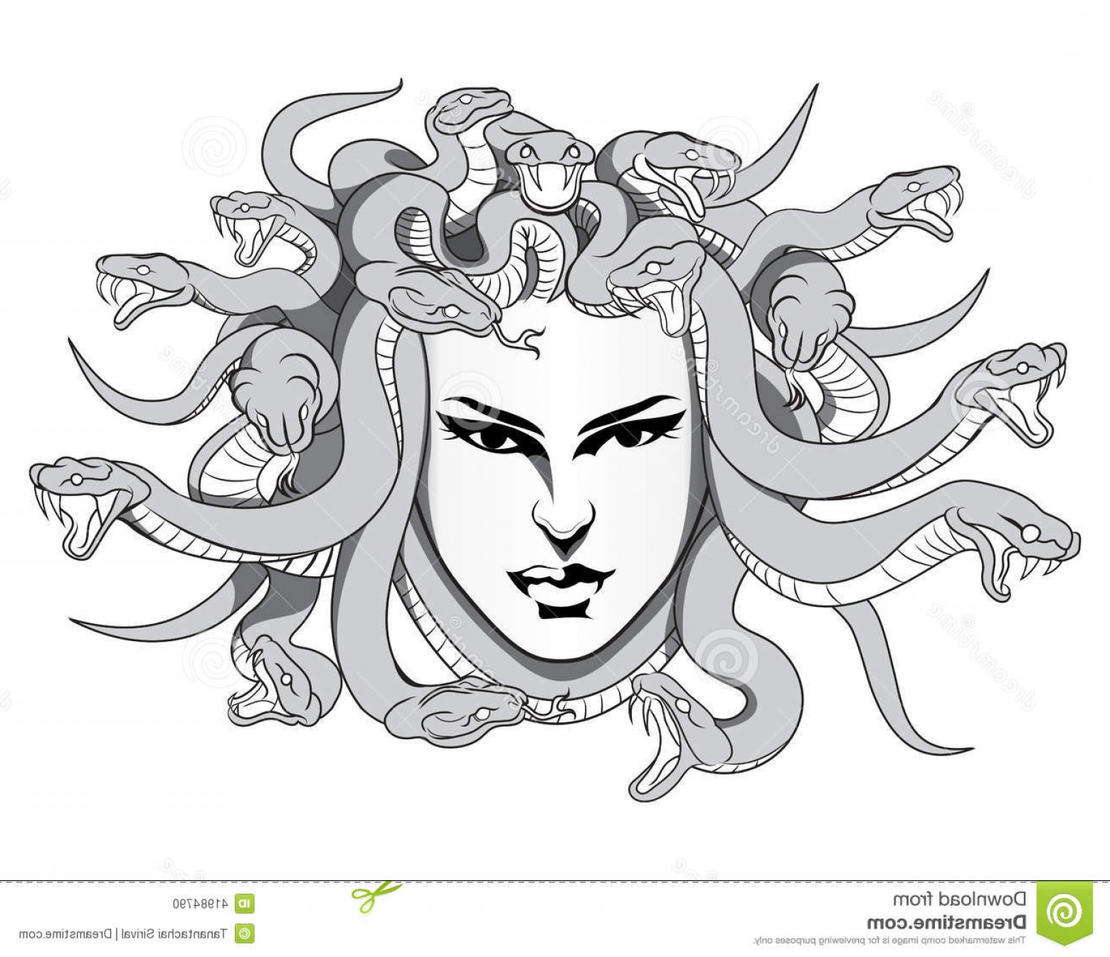 Medusa Vector At Vectorified.com 