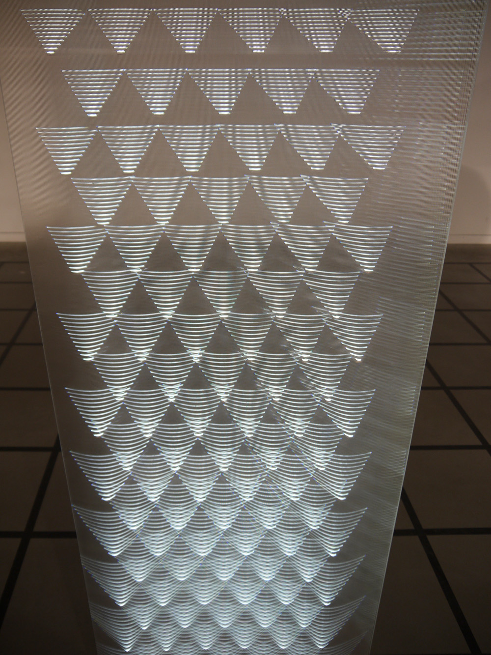 1000x1333 Light Is A Vector