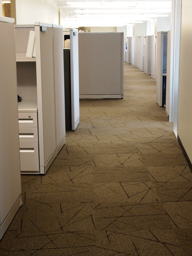 768x1024 Fdic Vector Hallway Masland Contract