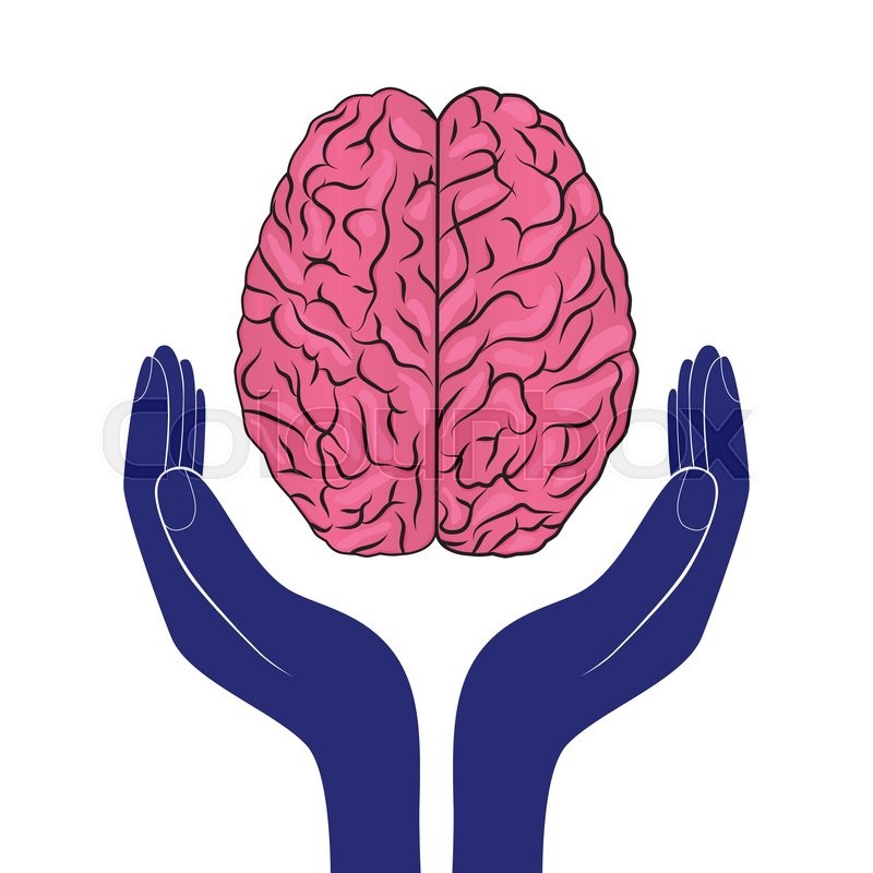 800x800 Mental Health Sign Vector Human Brain Stock Vector Colourbox