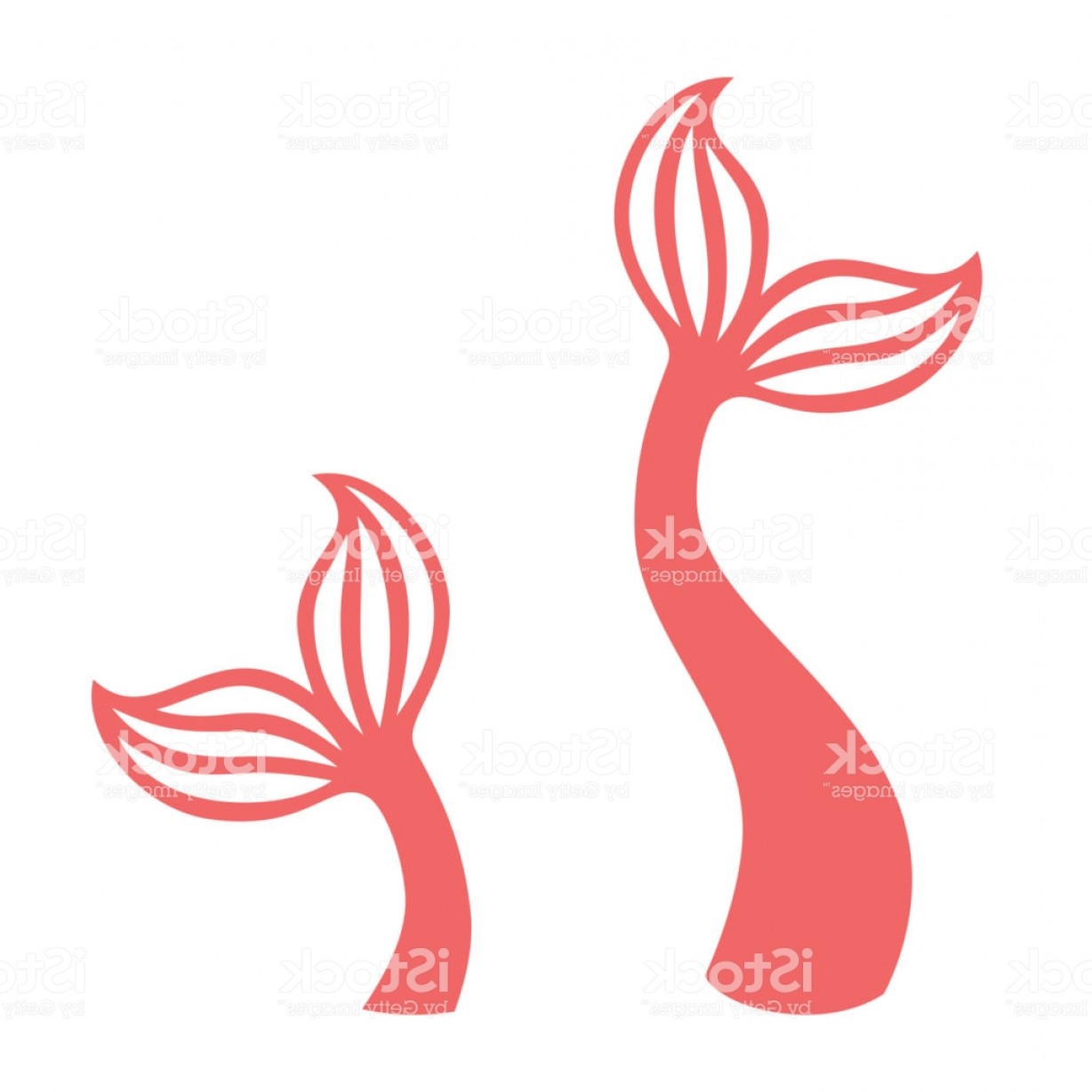 1228x1228 Mermaid Tail Silhouette Of Whale Tail Icon Fish Tail Vector Gm