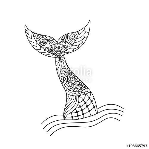 500x500 Hand Drawn Ornamental Mermaid's Tail Vector Illustration Isolated